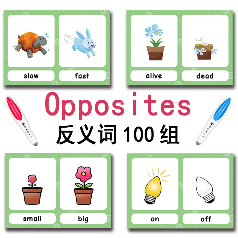 100 Kartu Flashcard Kata Bahas - Kids Education Age ulasan dan harga