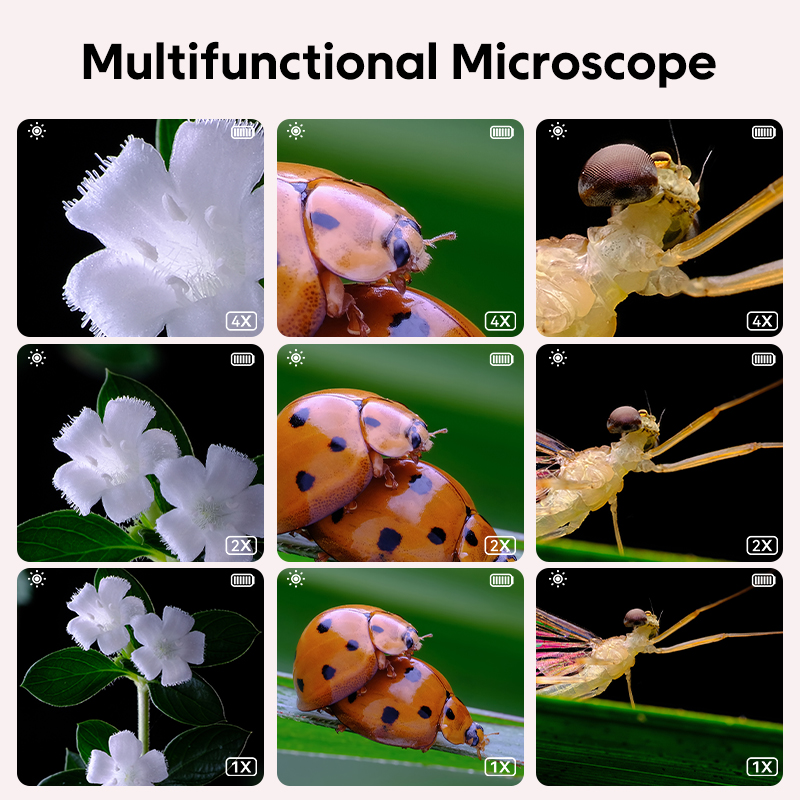 Mikroskop Digital Mini, kaca p - Education Kids Definition ulasan dan harga