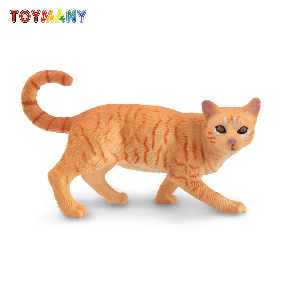 Toymany Mainan Model Hewan Pel - Kids Education Yes ulasan dan harga